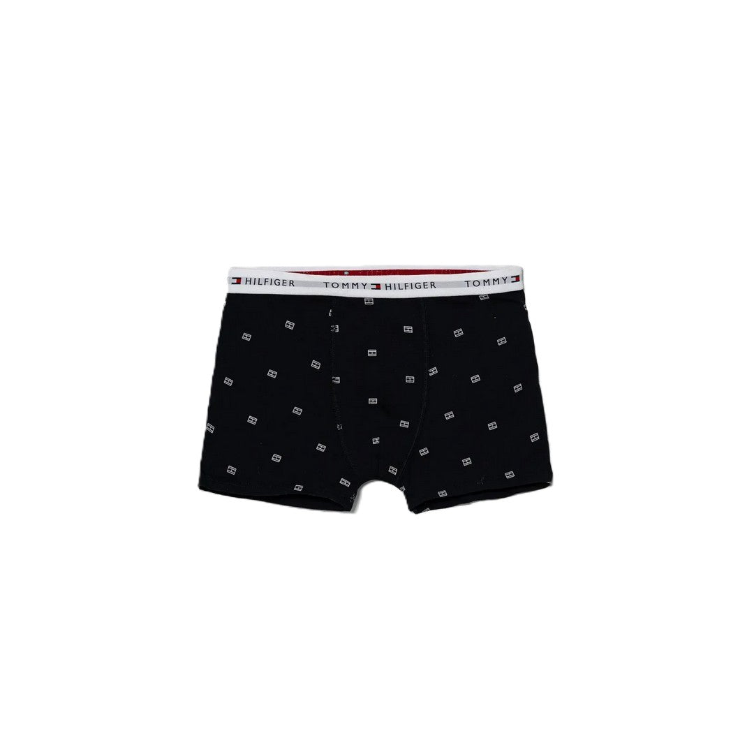 Tommy Hilfiger 2 Pack Boxer Bambino Desert Sky Outline Flag/Dew Gr - UB0UB00550-