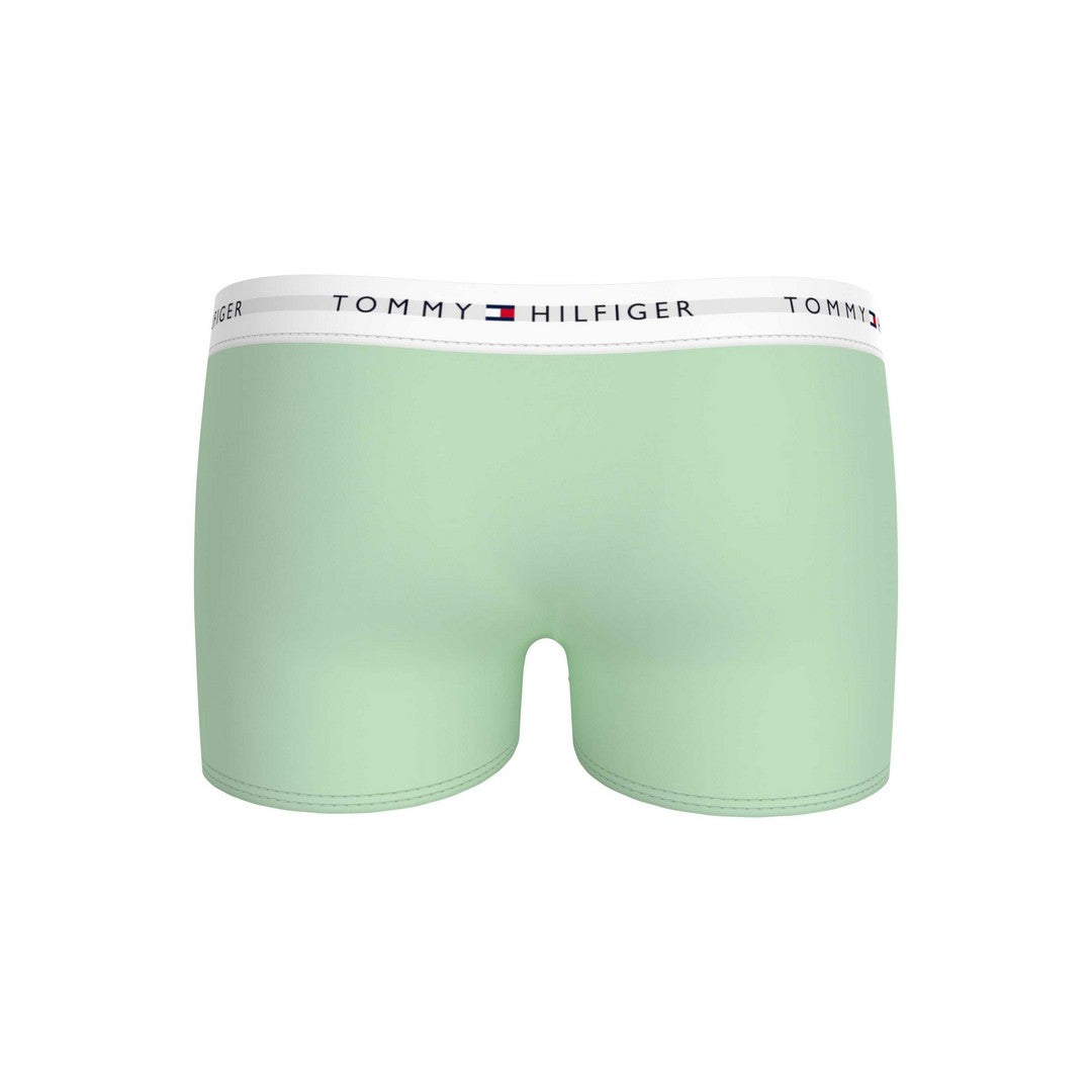 Tommy Hilfiger 2 Pack Boxer Bambino Desert Sky Outline Flag/Dew Gr - UB0UB00550-