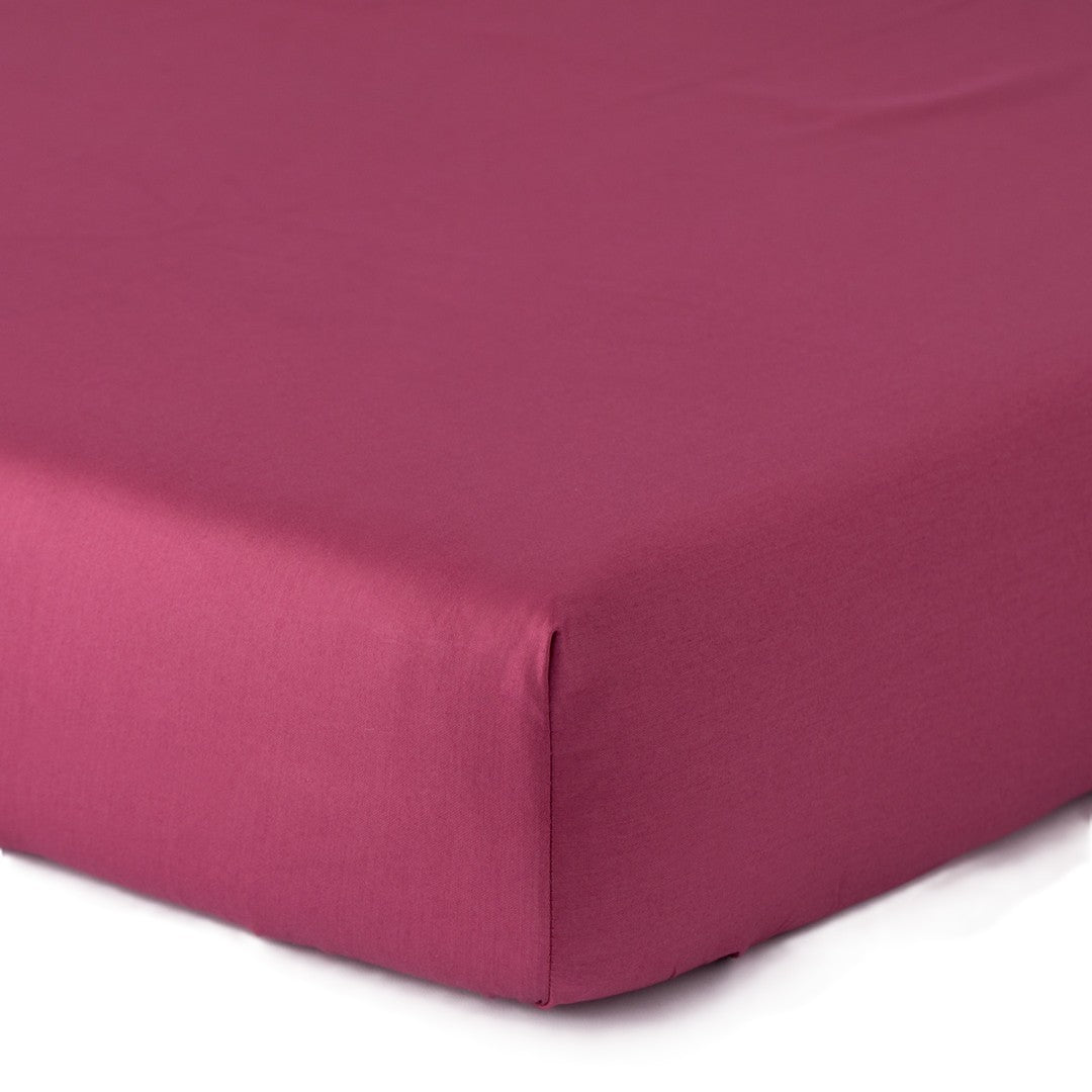 Reevèr Charme Completo Lenzuola Matrimoniale Raso di cotone Tortora - LN0259 100