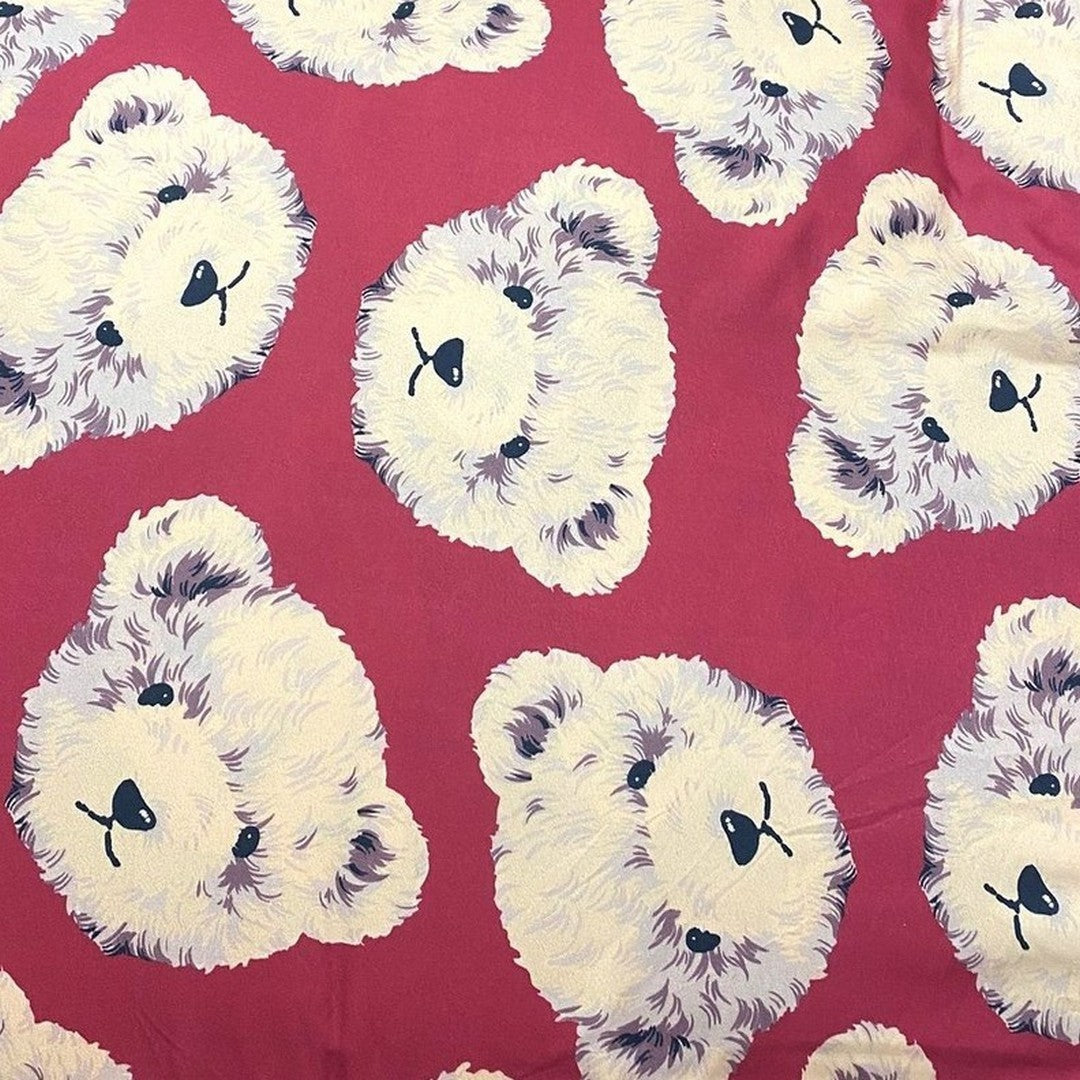 Linea Oro Trapunta Invernale Letto Singolo Stampata Teddy